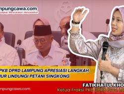 Fraksi PKB DPRD Lampung Apresiasi Langkah Gubernur Perjuangkan Petani Singkong