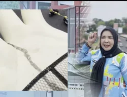 Bunda Eva Jelaskan JPO Siger Milenial Bukan Retak Namun Hanya Lumut