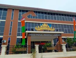 LSM SIMULASI Soroti Bau Korupsi di Paket Proyek Dinas Perumahan dan Cipta Karya Lampung