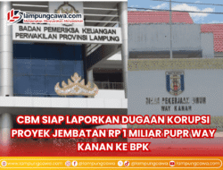 LSM CBM Siap Laporkan Dugaan Korupsi Proyek Jembatan Rp 1 Miliar ke BPK Lampung
