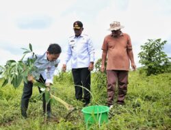 Penanaman Pohon di Taman Kehati Kotabaru Libatkan 863 PPPK Paruh Waktu Pascapelantikan