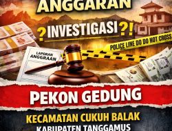 LSM JATI: Ditemukan Dugaan Penyimpangan Anggaran Pekon Gedung Kecamatan Cukuh Balak Kabupaten Tanggamus