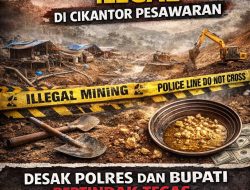 LSM TRINUSA Lampung Soroti Tambang Emas Ilegal di Cikantor Pesawaran, Desak Polres dan Bupati Bertindak Tegas