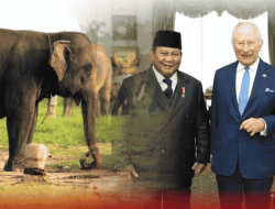 Way Kambas Lampung Jadi Prioritas Kerja Sama Konservasi dalam Pertemuan Prabowo–Raja Charles III