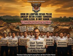 BRIM 08 Lampung Minta Pengungkapan Kasus Tambang Emas Ilegal di Lampung Jadi Atensi Presiden